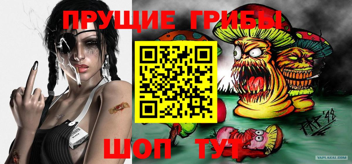 Галлюциногенные грибы GOLDEN TEACHER Видное