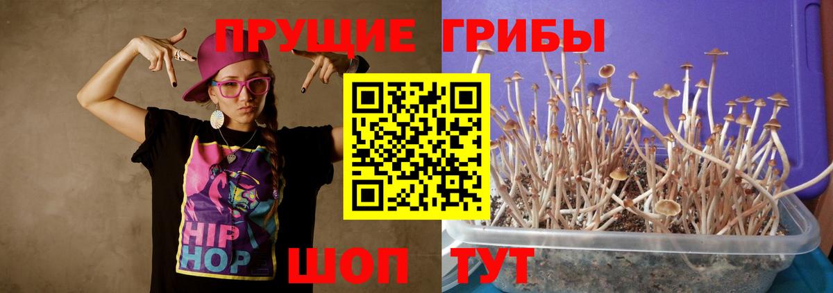 Псилоцибиновые грибы Psilocybine cubensis  Псилоцибиновые грибы MAGIC MUSHROOMS  Вход с VPN  Видное 