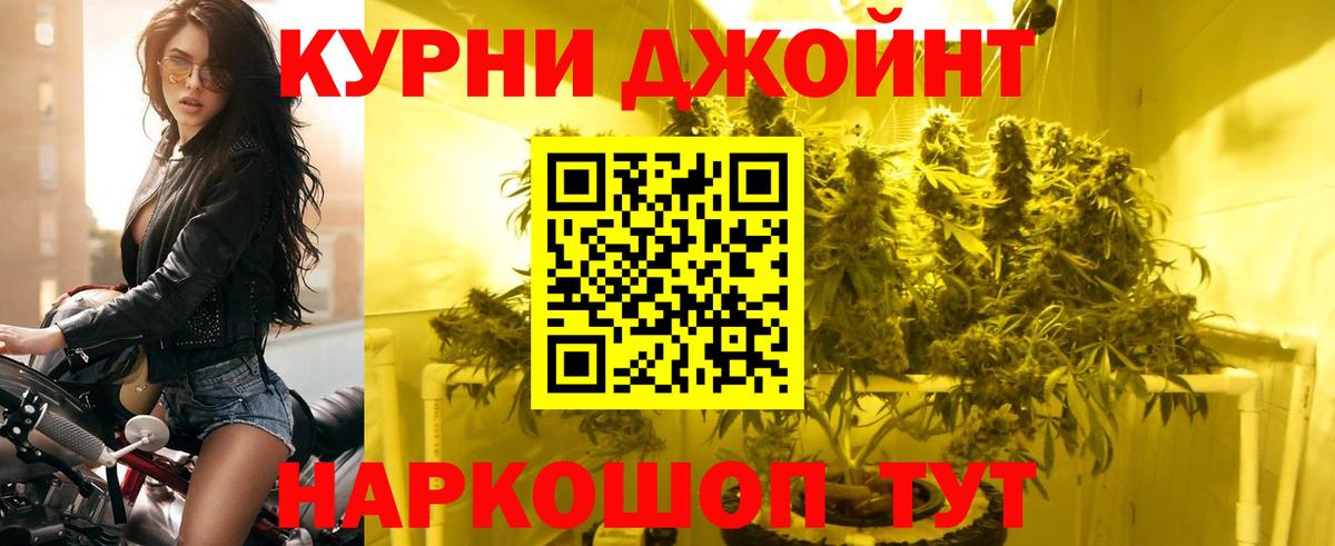 МАРИХУАНА гибрид Видное